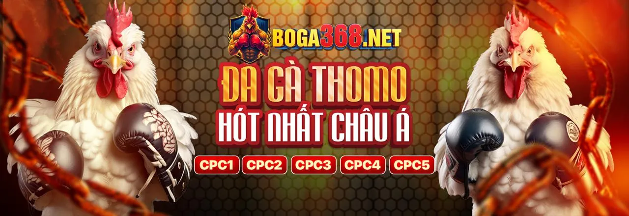 Các máy đánh bạc đa dạng, đồ họa chất lượng cao, các trò chơi jackpot thú vị